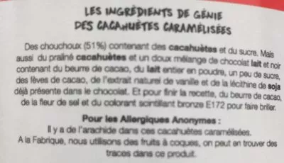 Liste des ingrédients du produit Cacahuetes caramelisees L’Eclair de Genie 