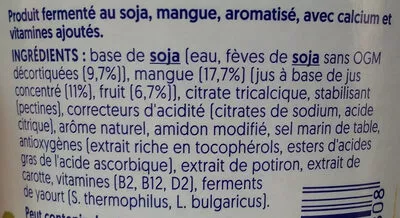 Lista de ingredientes del producto Dessert Soja Mangue SSA Alpro 400 g