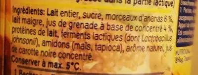 Lista de ingredientes del producto Yaourt Grenade ananas Nestlé 
