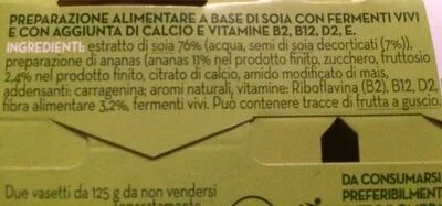List of product ingredients Yaourt soja ananas Granarolo 250 g (2x125g)