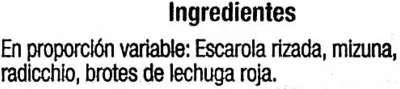 Lista de ingredientes del producto Ensalada Mezclum Alteza 150 g