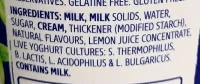Lista de ingredientes del producto Classic vanilla yoghurt Dairy Farmers 600g