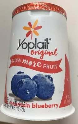 Yoplait Original Mountain Blueberry Low Fat Yogurt Yoplait, General Mills 6 oz / 170 g, code 0070470003023