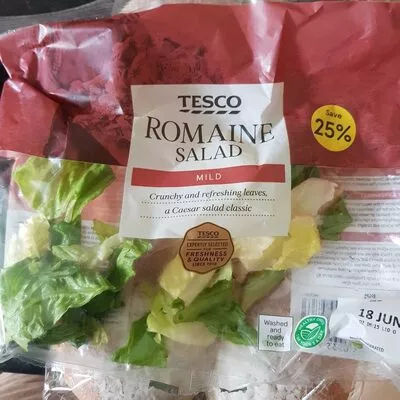 Romaine Salad Tesco , code 03339763