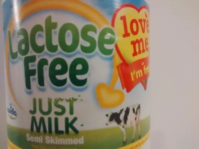 Candia Lactose Free - Just Milk semi skimmed Candia 1 l, code 3533631685003