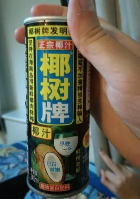 Coconut Tree brand original coconut juice yeshu 245 ml, code 6957735788861