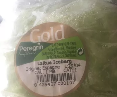 Salade, Variété Iceberg gold, peregrin , code 8429407020107