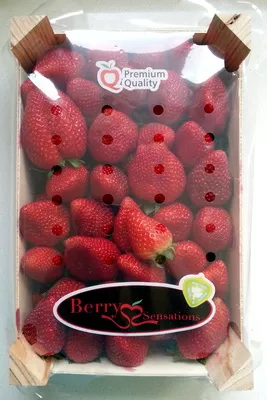 Fraises Berry Sensations 2000 g, code 8437005015050