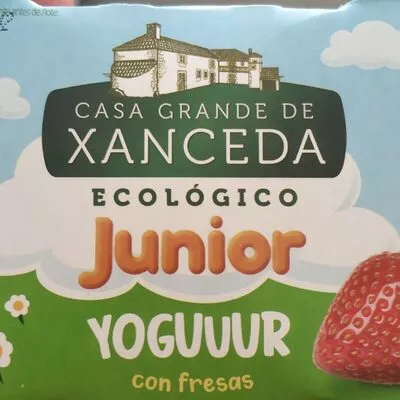 Yogurt xanceda Casa Grande de Xanceda 2 x 125 g, code 8437006245401