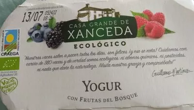 Yogur con frutas del bosque Casa Grande de Xanceda 2x125g, code 8437006245623