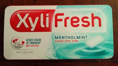 mentholmint sugar free gum Xylifresh 17g, code 8711400300899
