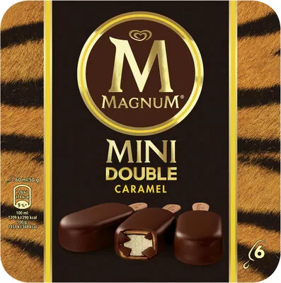 Magnum Batonnet Glace Mini Double Caramel x 6 360 ml Magnum 300 g, code 8714100875933