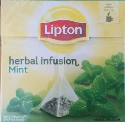 Herbal infusion Mint Lipton 22g, code 8722700089131