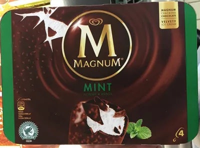 Magnum Menthe Miko 352 g, 440 ml, code 8722700118497
