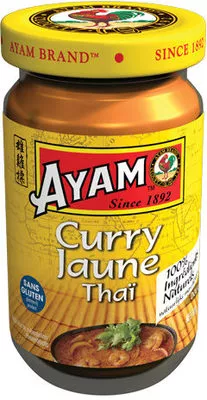 Pate de curry jaune thai Ayam 100gr, code 9556041780346